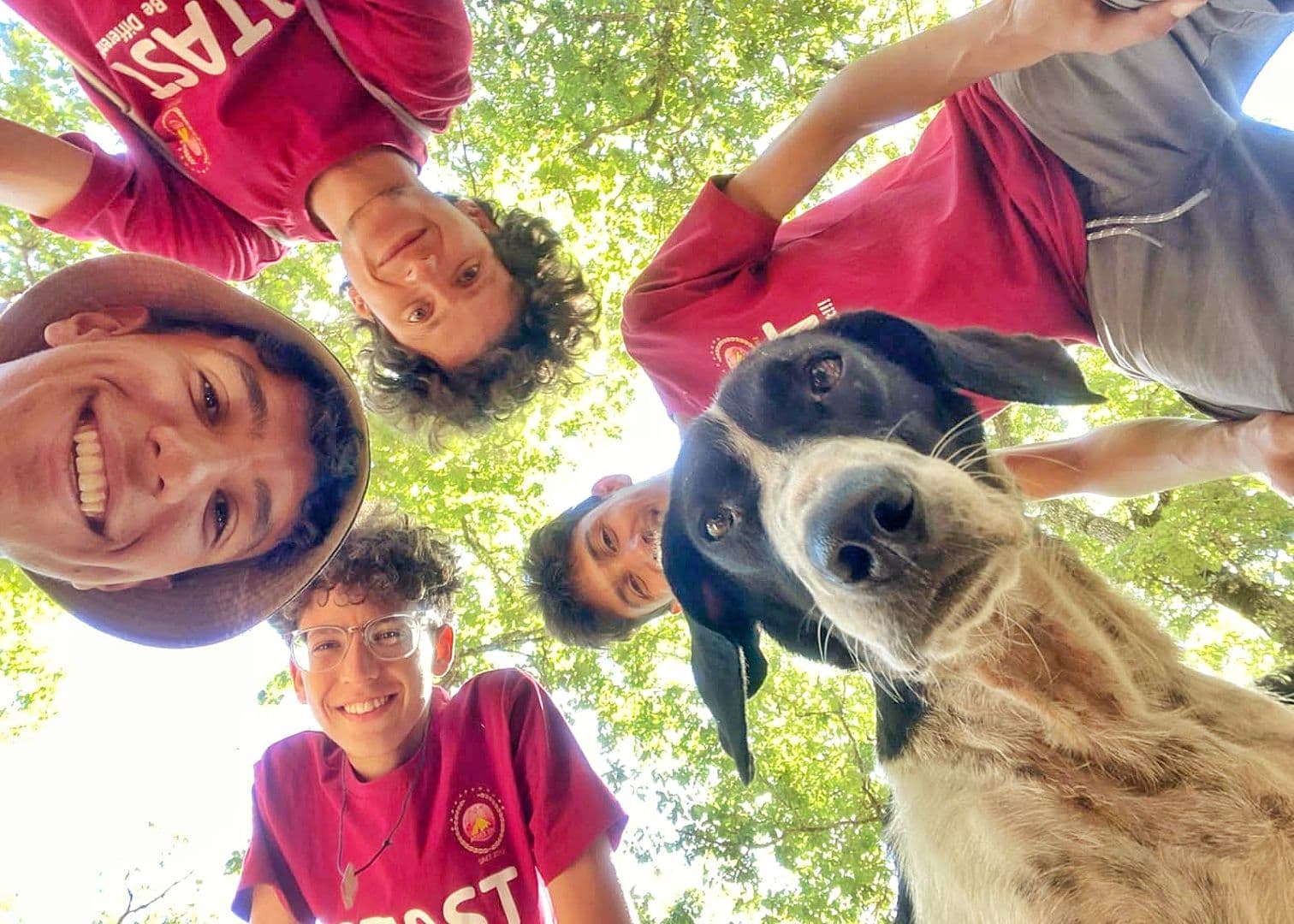 Picture of Atastians with a dog